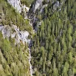 Fliegenpilz * Ramsau am Dachstein