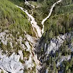 Fliegenpilz Ramsau am Dachstein