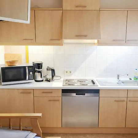 Fliegenpilz * 拉姆绍达赫斯坦